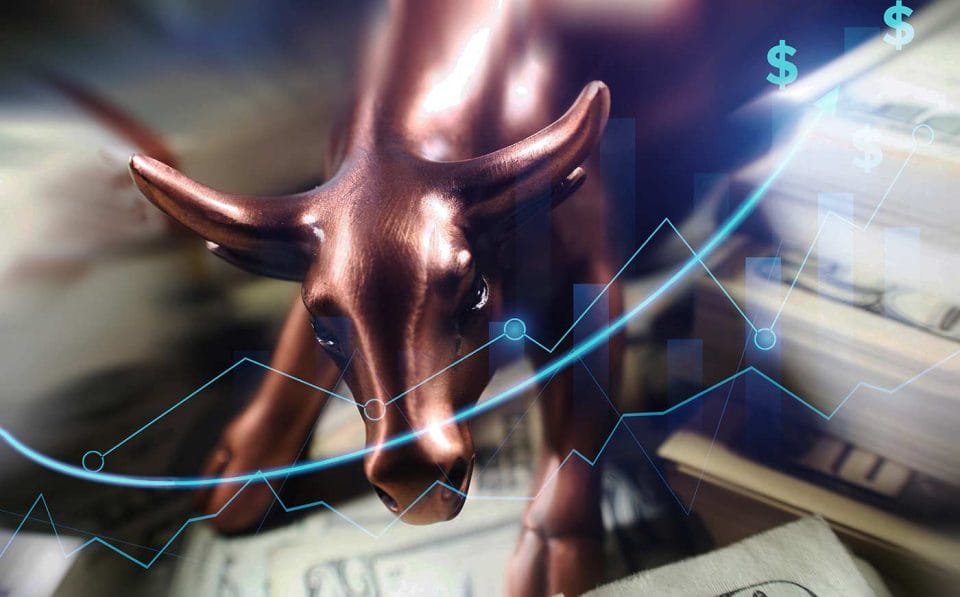 Bull trader stock market day trading concept